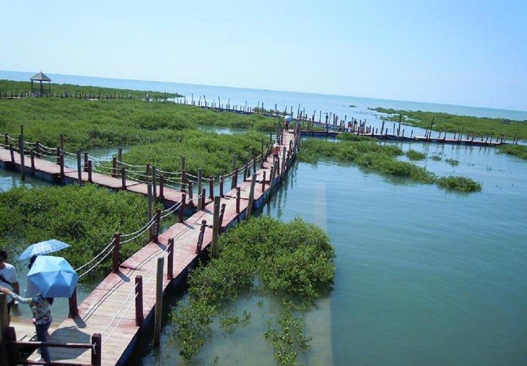 北海旅游,金海灣紅樹林生態(tài)旅游區(qū)