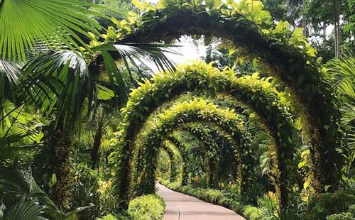 新加坡植物園