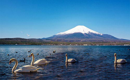 富士山1