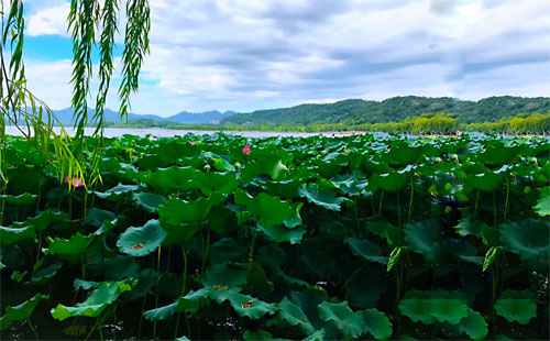 杭州西湖