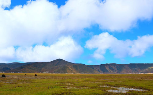 香格里拉