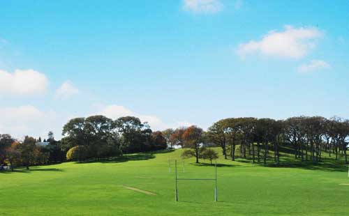 新西蘭奧克蘭中央公園