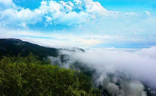 霍頓平原