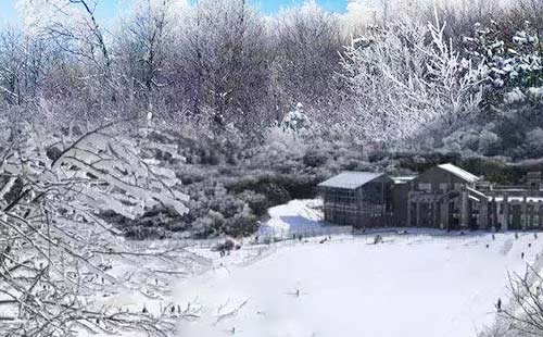 仙女山國家級森林公園