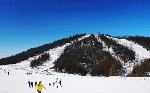 神農(nóng)架滑雪