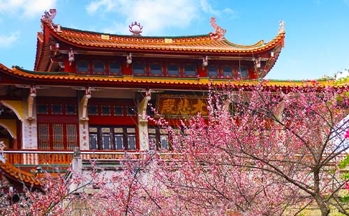 民丹島觀音山梅峰寺3