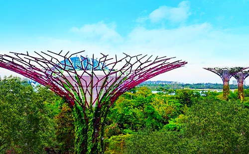 濱海灣花園