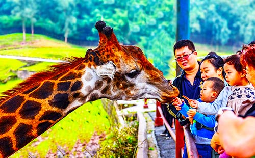 樂和樂都野生動物世界3