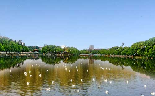 昆明翠湖公園