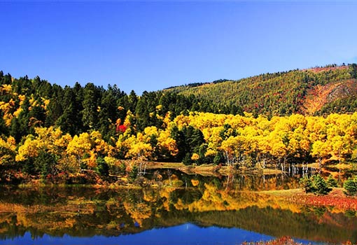 普達措森林公園