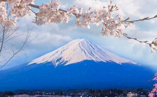 日本富士山櫻花