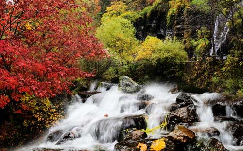 長白山望天鵝風(fēng)景區(qū)