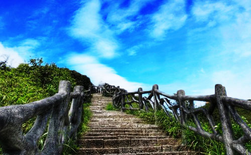 湖南莽山國(guó)家森林公園