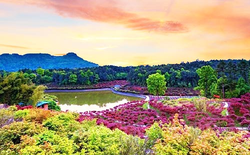 多彩植物園