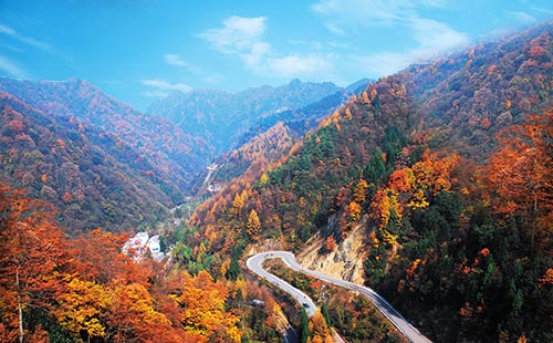 光霧山紅葉