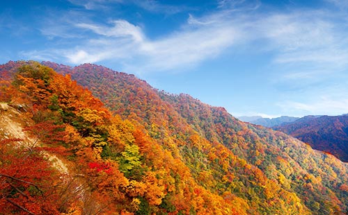 秋天四川旅游