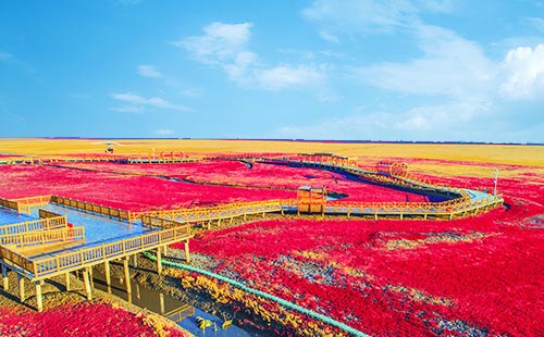 紅海灘旅游風(fēng)景區(qū)1