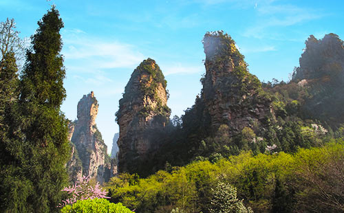 張家界國(guó)家森林公園