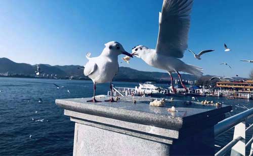 昆明翠湖公園