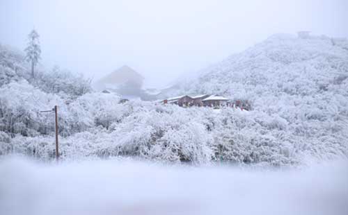 金佛山雪景1