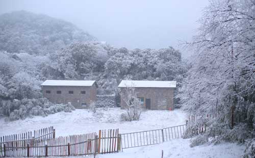 金佛山雪景3